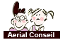 Logo Aerial Conseil